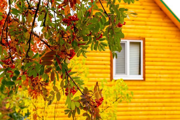 Cost of Garden Window Replacement in Cleveland